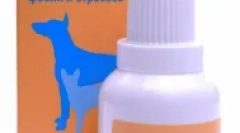 Phospasim - prva pomoč za nevrozo pri mačkah